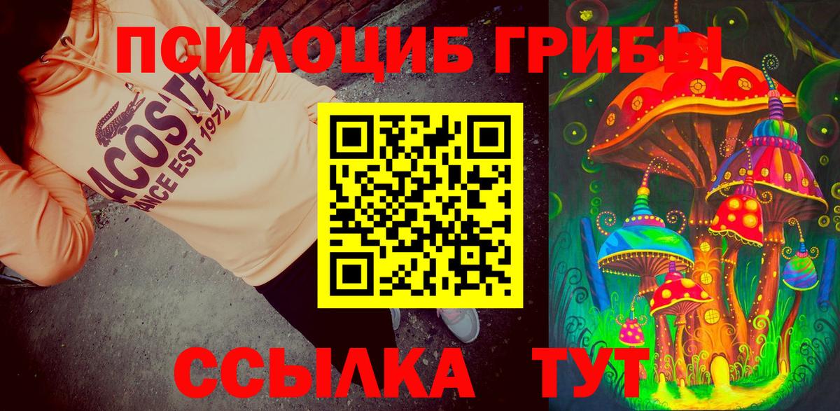 Псилоцибиновые грибы Psilocybe  Галлюциногенные грибы MAGIC MUSHROOMS  цены наркотик  Вязьма  Вход с VPN 