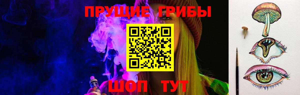 Галлюциногенные грибы Psilocybe Вязьма